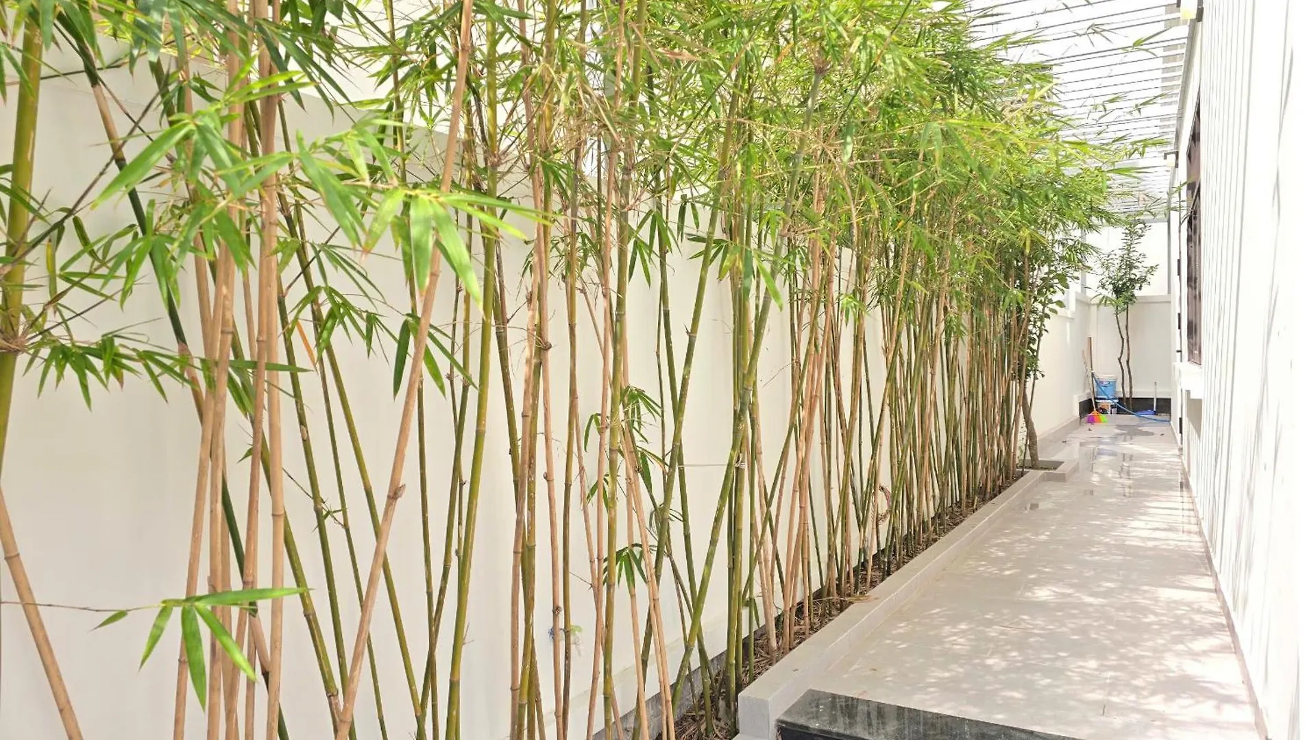 Apartment Cho Nghi Cho Thue Trong Ngay Di Bo Ra Bai Sau 173
